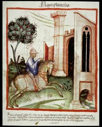 Nova 2644 fol.89v Regenwater, uit Tacuinum Sanitatis